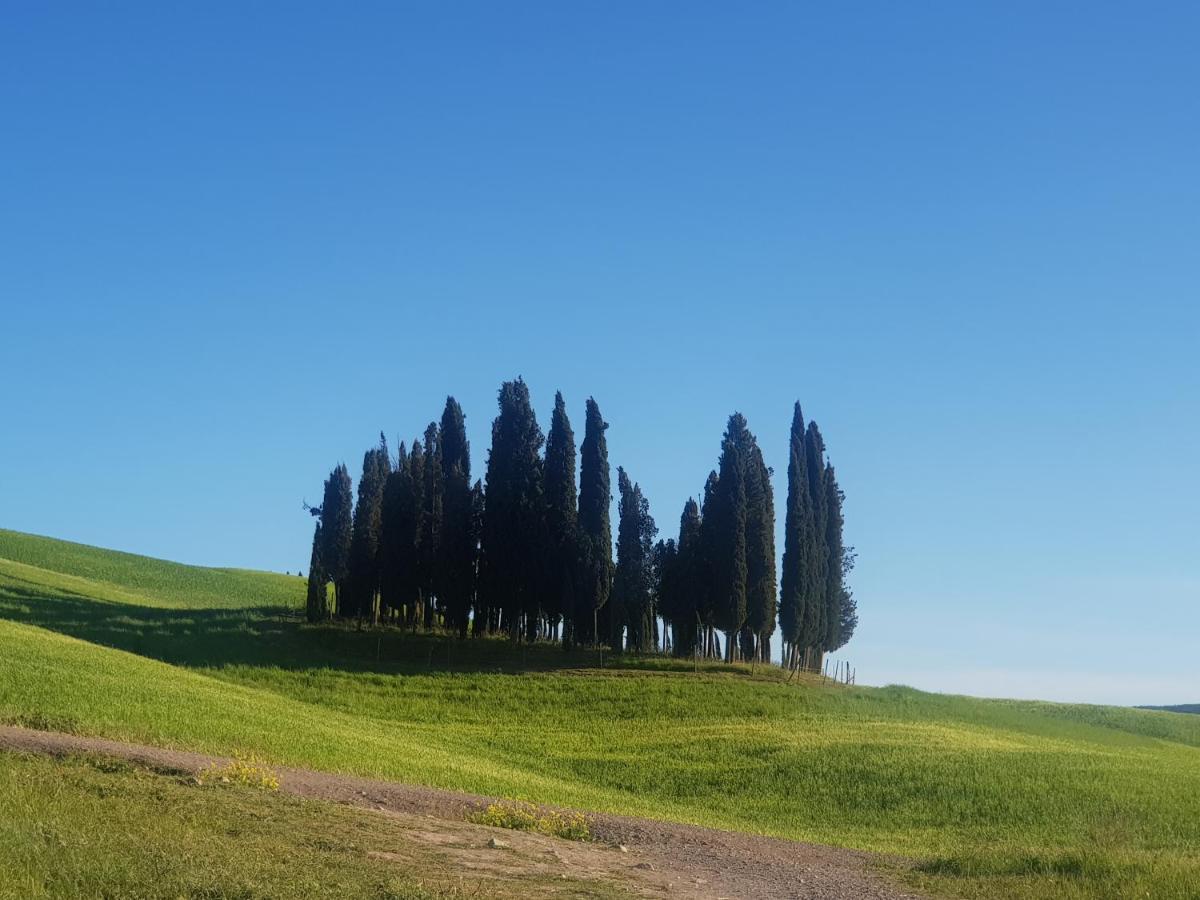 Palazzetto Del Pittore San Quirico dʼOrcia Exterior foto