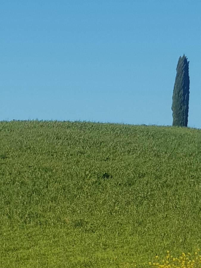 Palazzetto Del Pittore San Quirico dʼOrcia Exterior foto