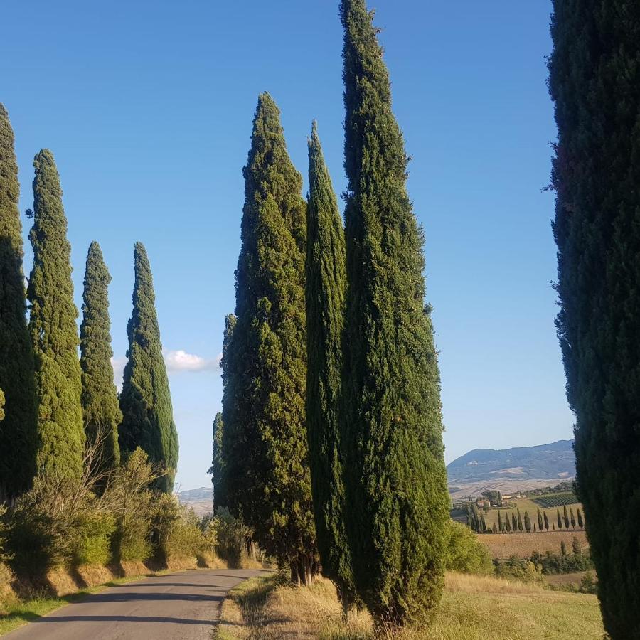 Palazzetto Del Pittore San Quirico dʼOrcia Exterior foto