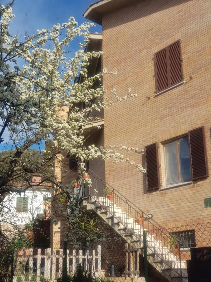 Palazzetto Del Pittore San Quirico dʼOrcia Exterior foto