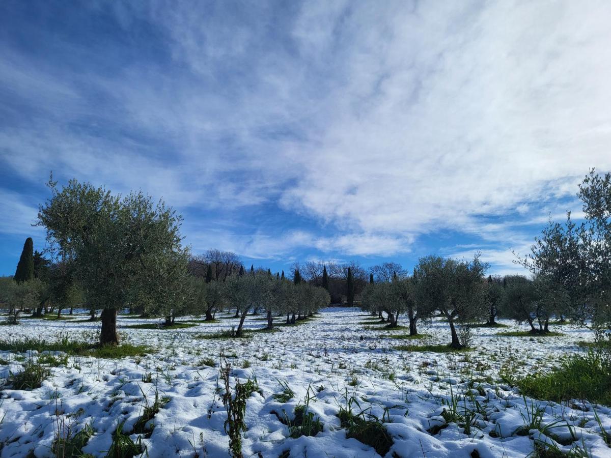 Palazzetto Del Pittore San Quirico dʼOrcia Exterior foto