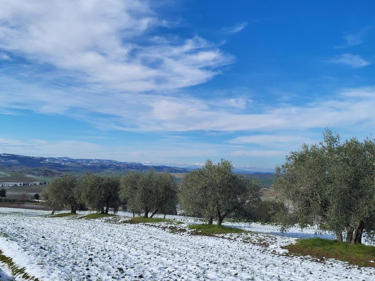 Palazzetto Del Pittore San Quirico dʼOrcia Exterior foto