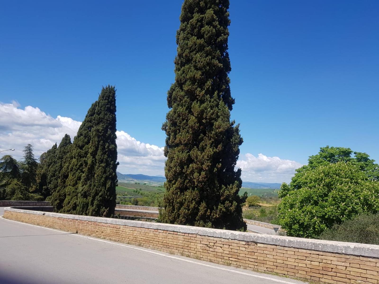 Palazzetto Del Pittore San Quirico dʼOrcia Exterior foto