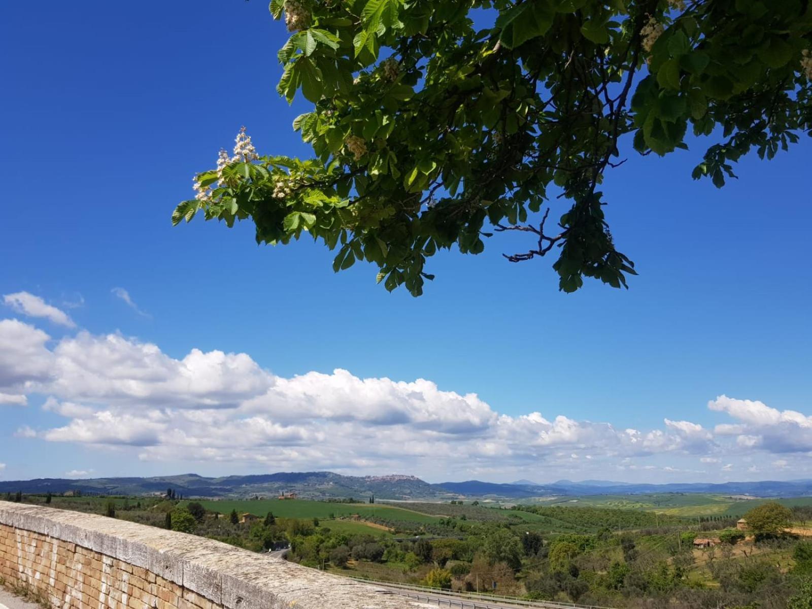 Palazzetto Del Pittore San Quirico dʼOrcia Exterior foto